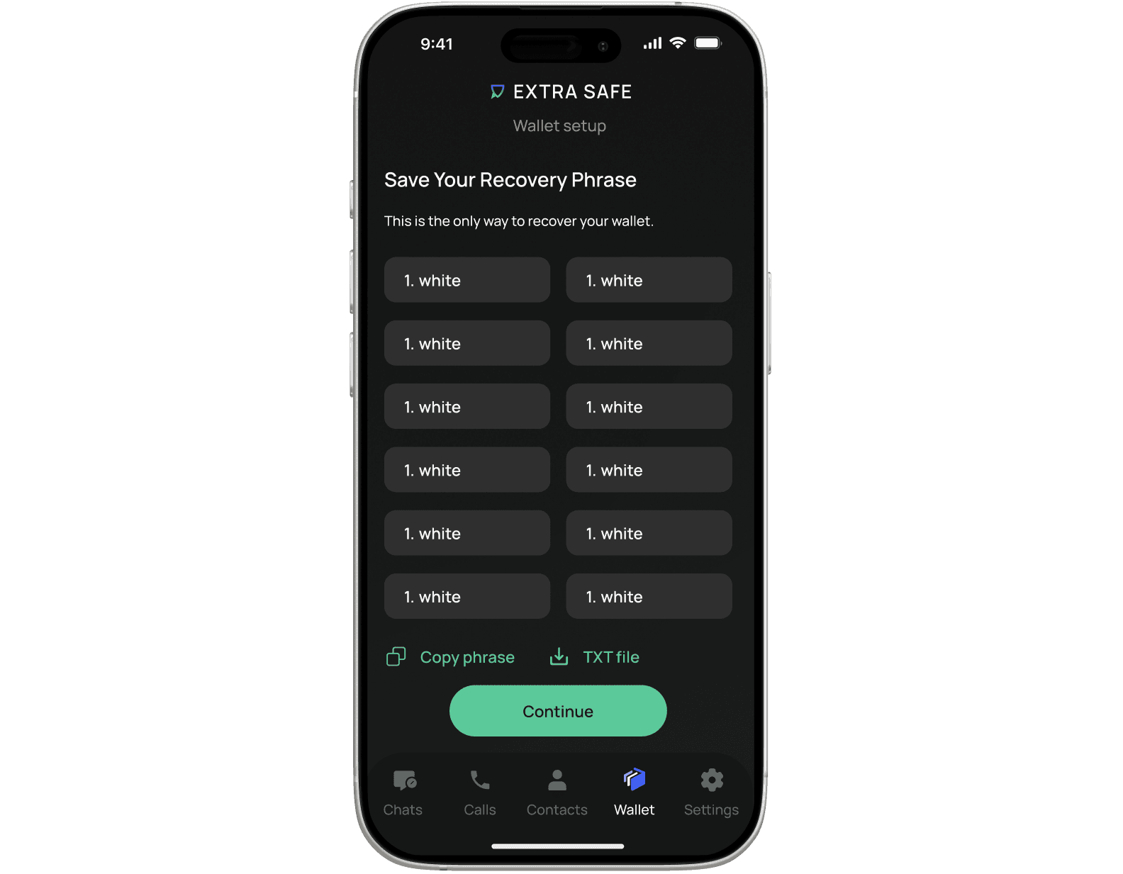 EXTRA SAFE app showing the Save Your Recovery Phrase screen during wallet setup