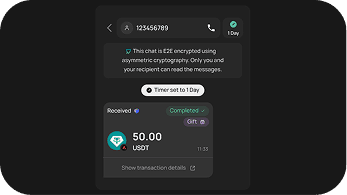 Chat screen showing the received USD₮ gift